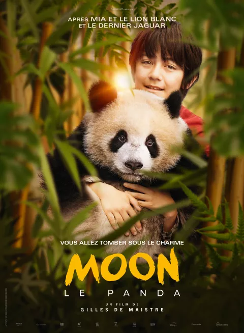 Affiche Teaser FR